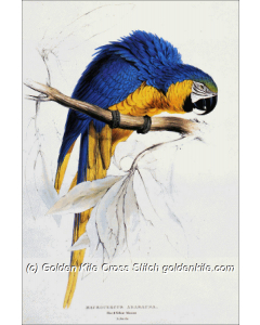 Blue and Yellow Macaw 2 (Edward jr Lear)