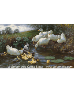 Family of Ducks at the Water (Alexander Koester)