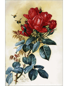 Papa Gontier Roses (Raoul de Longpre)