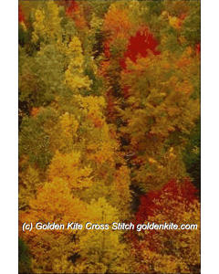 Fall Colors, Acadia National Park