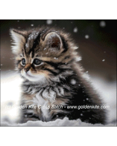 Winter Wonderland Kitten (Marcus Charleville)