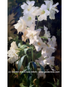 White Flowers (Marcus Charleville)