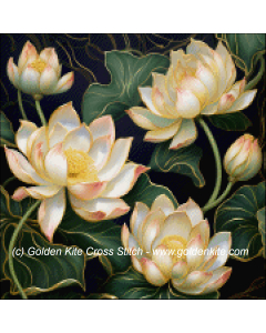 White Lotus (Marcus Charleville)