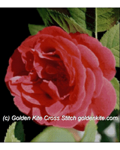 Red Rose (Bjorn Charleville)